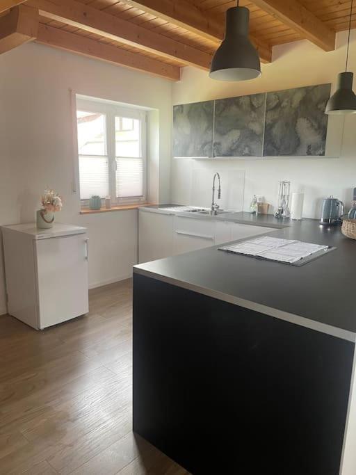 Panorama Saentisblick Apartman Hergatz Kültér fotó