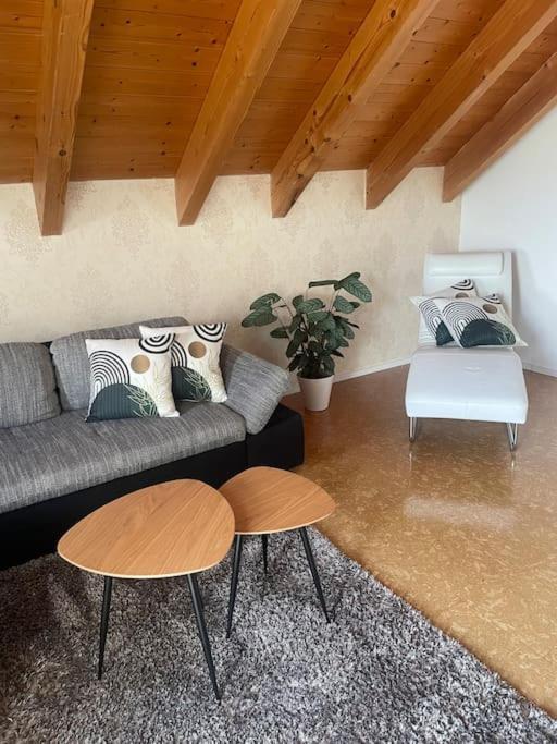 Panorama Saentisblick Apartman Hergatz Kültér fotó