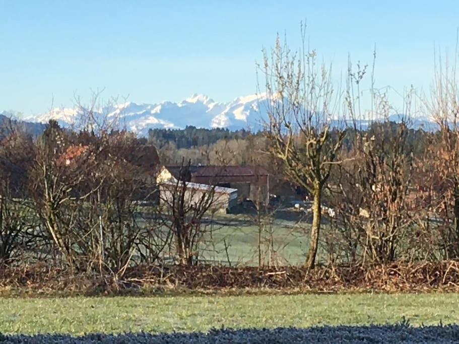 Panorama Saentisblick Apartman Hergatz Kültér fotó